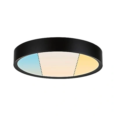 Afbeelding van Paulmann 71086 Tega LED plafondlamp 22.5 W Zwart (mat)
