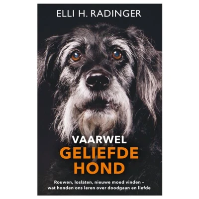 Image de Vaarwel geliefde hond