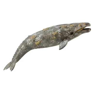 Afbeelding van Collecta Zeedieren Grijze Walvis 23 Cm
