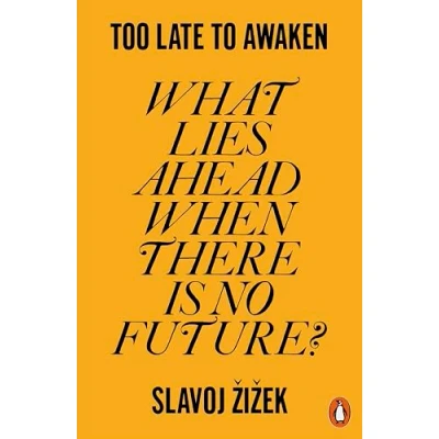 Afbeelding van Too Late to Awaken