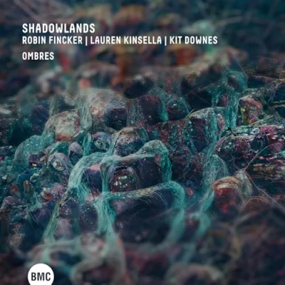Afbeelding van Shadowlands Ombres (CD)