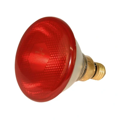 Afbeelding van Kerbl Infrarood Spaarlamp, 100w rood