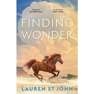 Afbeelding van Finding Wonder