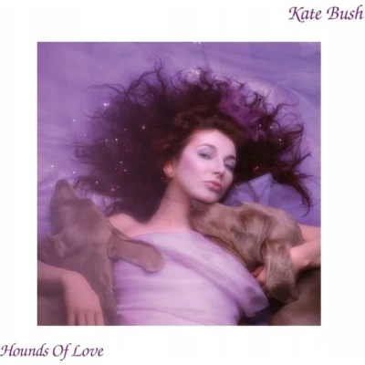 Afbeelding van Hounds of Love