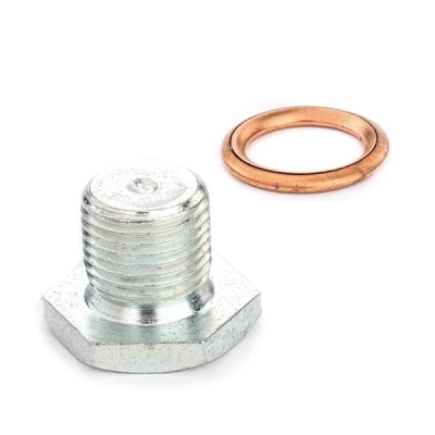 Afbeelding van Vaico Olie aftapplug / carterplug V42 0259
