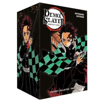 Image de Coffret Demon Slayer T01 à T06
