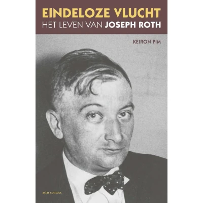 Afbeelding van Eindeloze vlucht