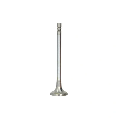 Afbeelding van IPSA VL183700 Uitlaatklep 24,4 Verchroomde klepsteel OPEL: Insignia A Hatchback
