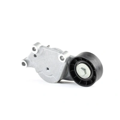 Afbeelding van Riemspanner, Poly V riem DAYCO APV3221