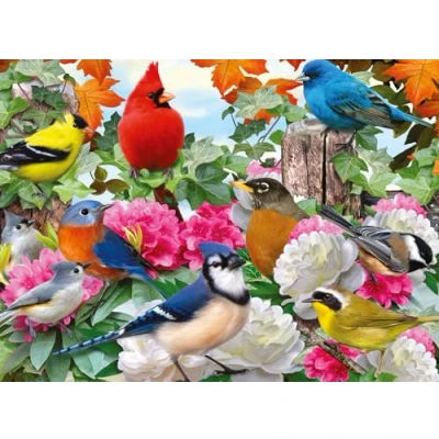 Afbeelding van Ravensburger Puzzel 2D: Ptaki Ogrodowe 500 elementów, Nowy Design