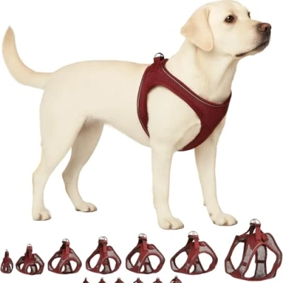 Afbeelding van Flamingo Step Go Bento Harnas aubergine, XL (A: 40 43 cm, B: 49 54 3 mm), Comfortabel en Verstelbaar, Ideaal voor Australische Herder, Springer Spaniël, Staffordshire Bull Terrier enz.