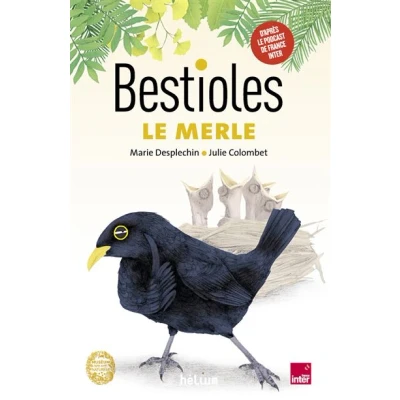 Image de Bestioles Le Merle