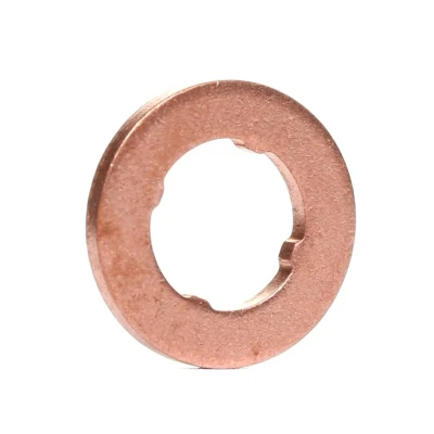 Afbeelding van Dichtring, verstuiverhouder BOSCH F 00V P01 004