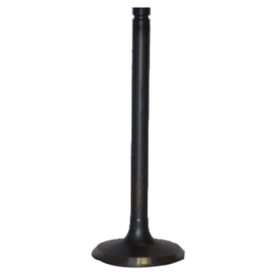 Afbeelding van JAPANPARTS VV NI016 Inlaatklep