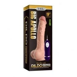 Afbeelding van Realistic Vibe Remote Control Apolo 24.5 cm