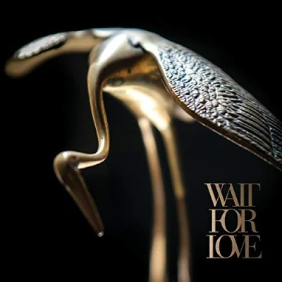 Afbeelding van Pianos Become The Teeth Wait For Love (LP) (Coloured Vinyl)