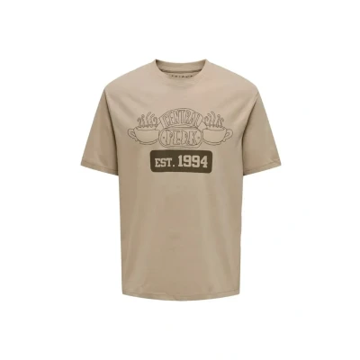 Afbeelding van ONLY&amp;SONS ONSFRIENDS RLX SS TEE Heren T shirts