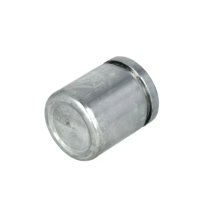 Afbeelding van Zuiger, remklauw AUTOFREN SEINSA D025266
