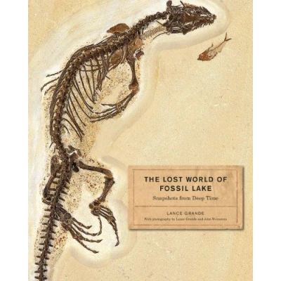 Afbeelding van Lost World Of Fossil Lake