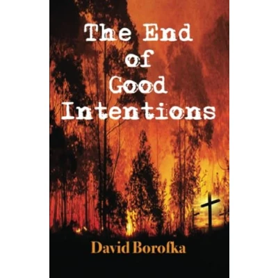 Afbeelding van The End of Good Intentions