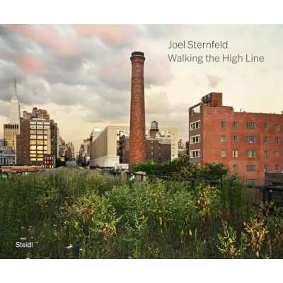 Afbeelding van Joel Sternfeld: Walking the High Line