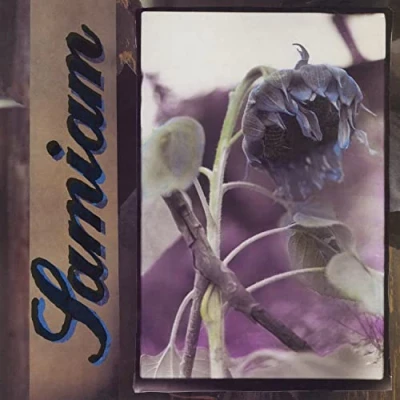 Afbeelding van Samiam (LP)