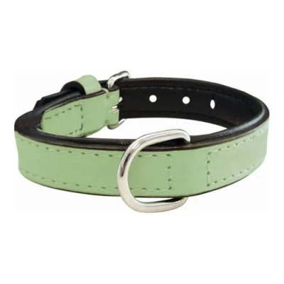 Afbeelding van Dog collar Gloria Padded Green (45 x 2 cm)