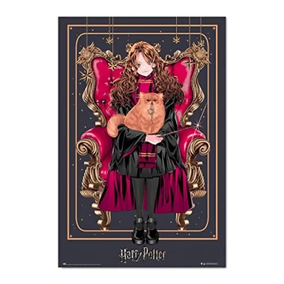 Afbeelding van Poster Harry Potter Wizard Dynasty Hermione Granger 61x91,5cm