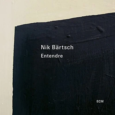 Afbeelding van Nik Bartsch Entendre (2 LPs)