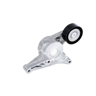 Afbeelding van Spanrol, Poly V riem SKF VKM 31054