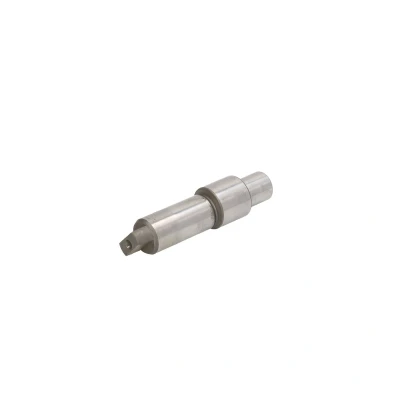 Afbeelding van Element, CR pomp BOSCH F 01M 100 285