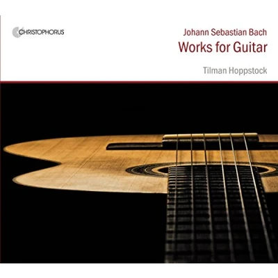 Afbeelding van Tilman Hoppstock Works For Guitar (2 CD)