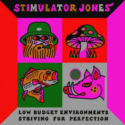 Afbeelding van Stimulator Jones Low Budget Environments Striving Fo (LP)