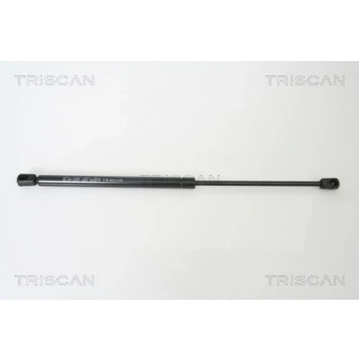 Afbeelding van Triscan Gasveer 8710 16239