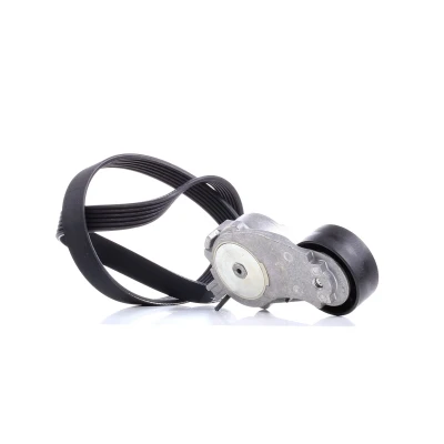 Afbeelding van DAYCO KPV333 Poly V riem set PEUGEOT: 3008 I, 308 II Hatchback, 5008 CITROËN: C4 I Grand Picasso, Berlingo II, Van, MINI: Hatchback