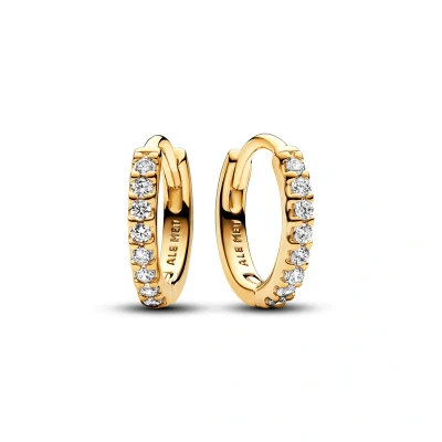 Afbeelding van Pandora Timeless Gold coloured Earrings 263015C01with14 Carat Plating