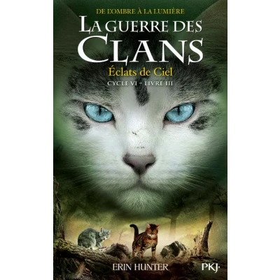 Image de La Guerre des clans, Cycle VI tome 3 Éclats de Ciel