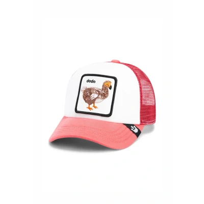 Afbeelding van Goorin Bros Dodo Kiddo Pet Streetwear Kind