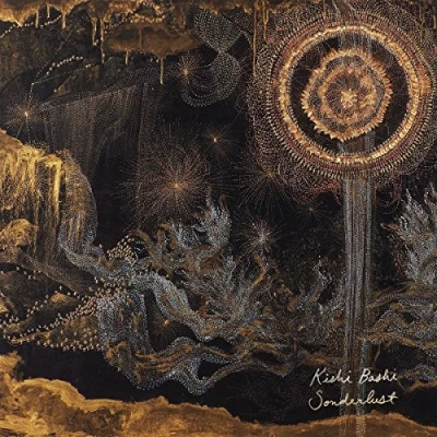 Afbeelding van Kishi Bashi Sonderlust (CD)