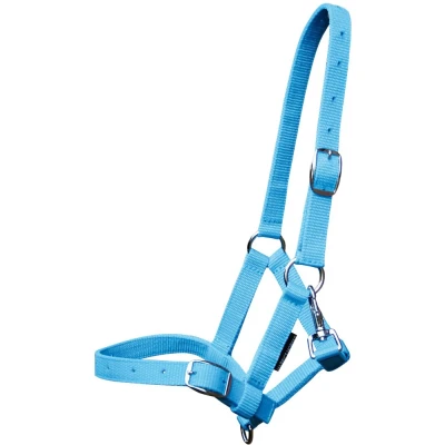 Image de Harry&#039;s Horse Licol pour Poulain Orange