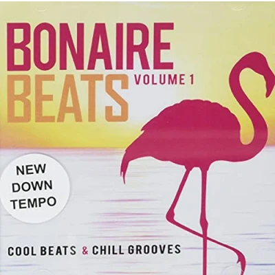 Afbeelding van Various Artists Bonaire Beats Volume 1 (2 CD)
