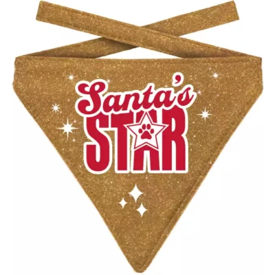 Afbeelding van Plenty Gifts Kerst Bandana Santa&#039;s Star Glitter Goud