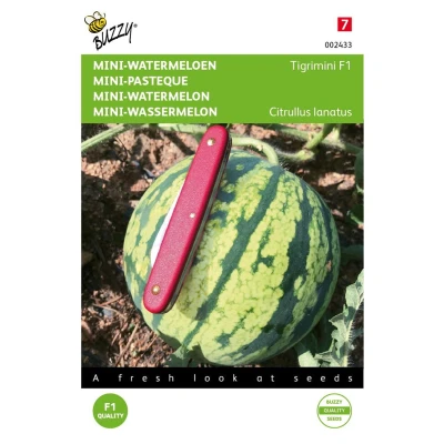 Afbeelding van Mini Watermeloen Tigrimini Buzzy
