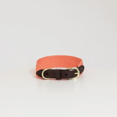 Image de Kentucky Collier Jacquard Neon Orange 50cm