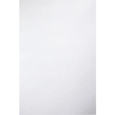 Afbeelding van Netuno Lot de 100 cartons structurés blancs gaufrés fin martelé Format A4 21 x 29,7 cm 246 g Carton ivoire ultra blanc Papier texturé pour cartes visite, certificats