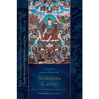 Afbeelding van Shangpa Kagyu: The Tradition of Khyungpo Naljor, Part One