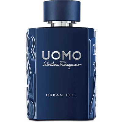 Afbeelding van Salvatore Ferragamo Uomo Urban Feel Eau de Toilette 100 ml