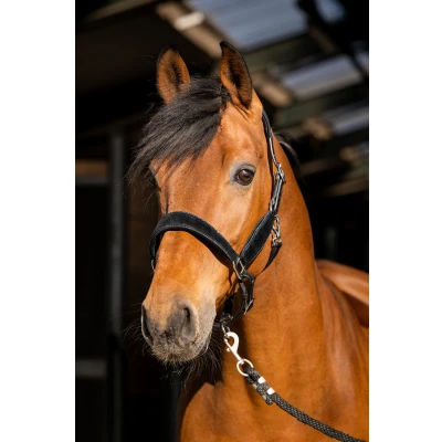 Image de HB Ruitersport Wisconsin Noir/marine Poney