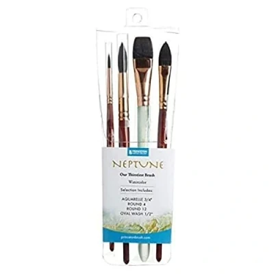 Afbeelding van PRINCETON NEPTUNE, Series P4750, Pro Set met 4 kwasten korte steel