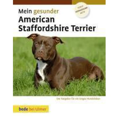 Afbeelding van Mein gesunder American Staffordshire Terrier